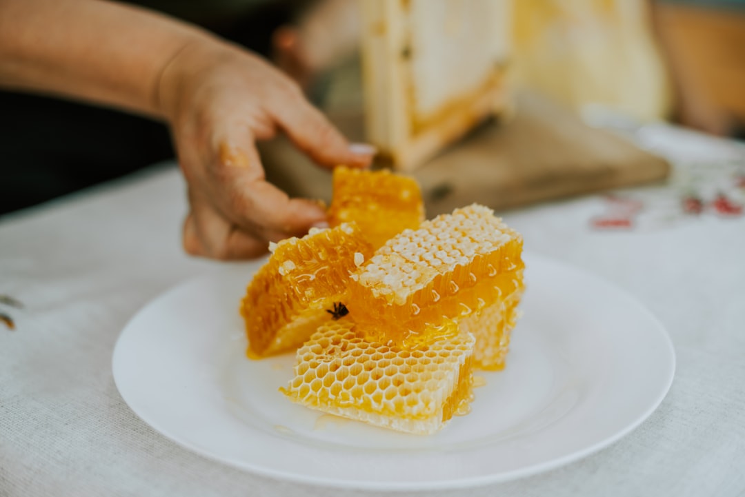 Beeswax Food Wraps