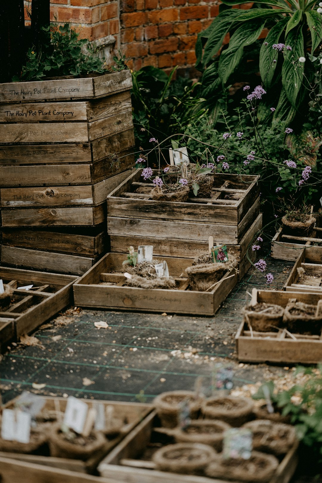 Biodegradable Plant Pots